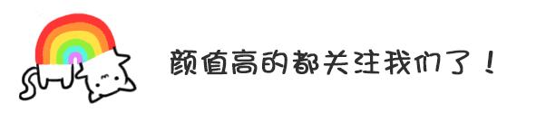 狗狗一生的5个阶段，你家狗处于哪个时期呢？