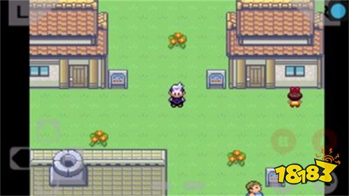 口袋妖怪绿宝石386最新版下载