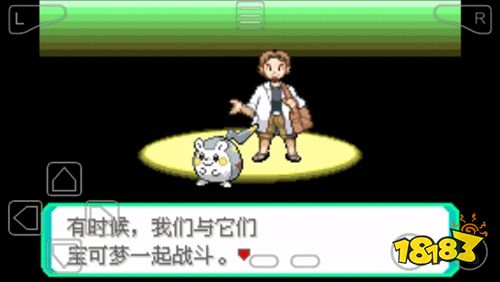 宝可梦究极绿宝石手机版