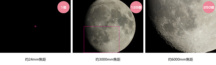 从型号了解一台相机·尼康篇 | 2025新版
