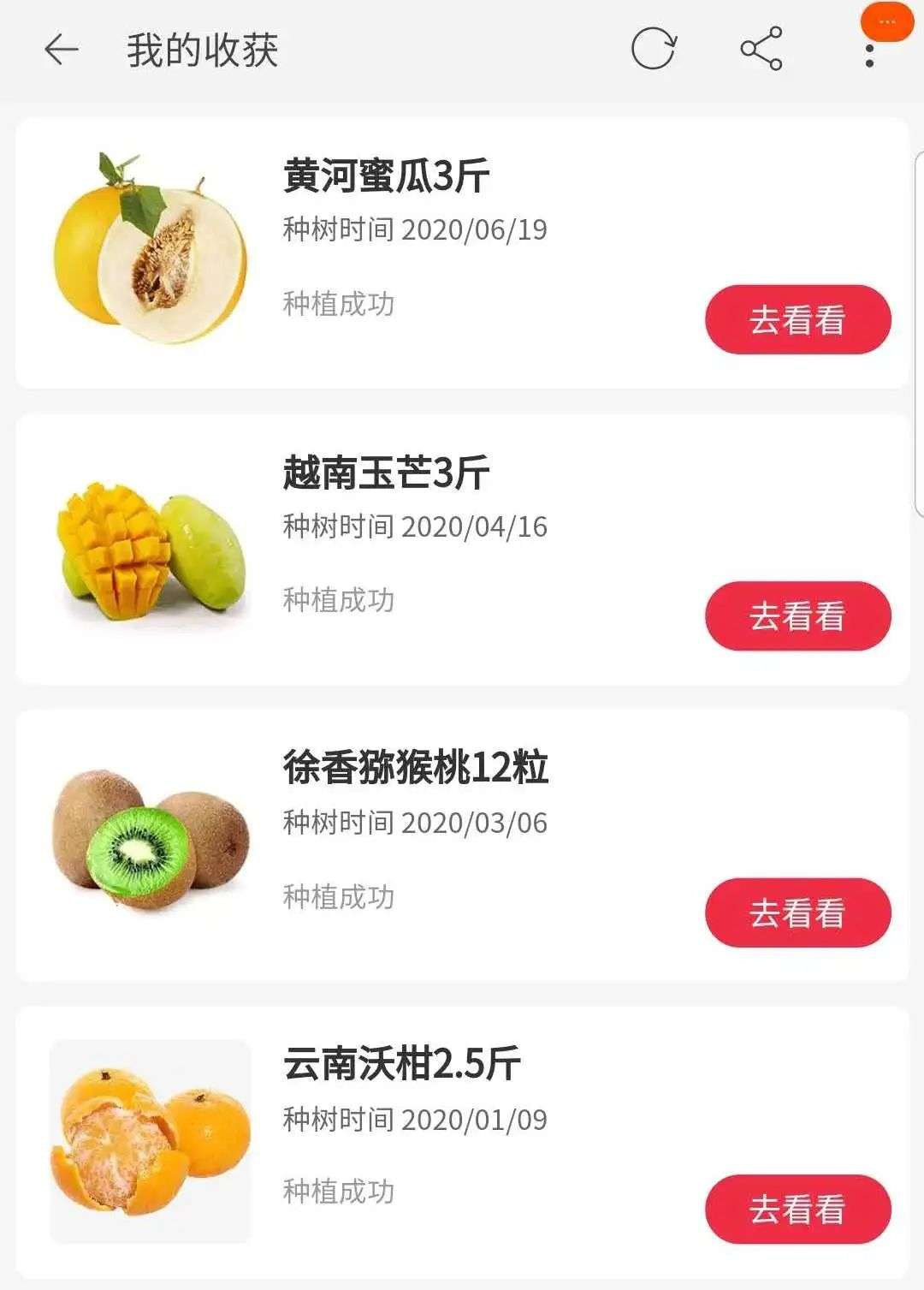 平台小游戏运营策略_关于讲水果的游戏_电商平台免费领水果游戏