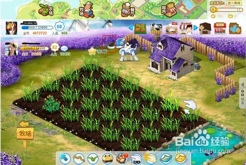 qq农场牧场餐厅三合一攻略