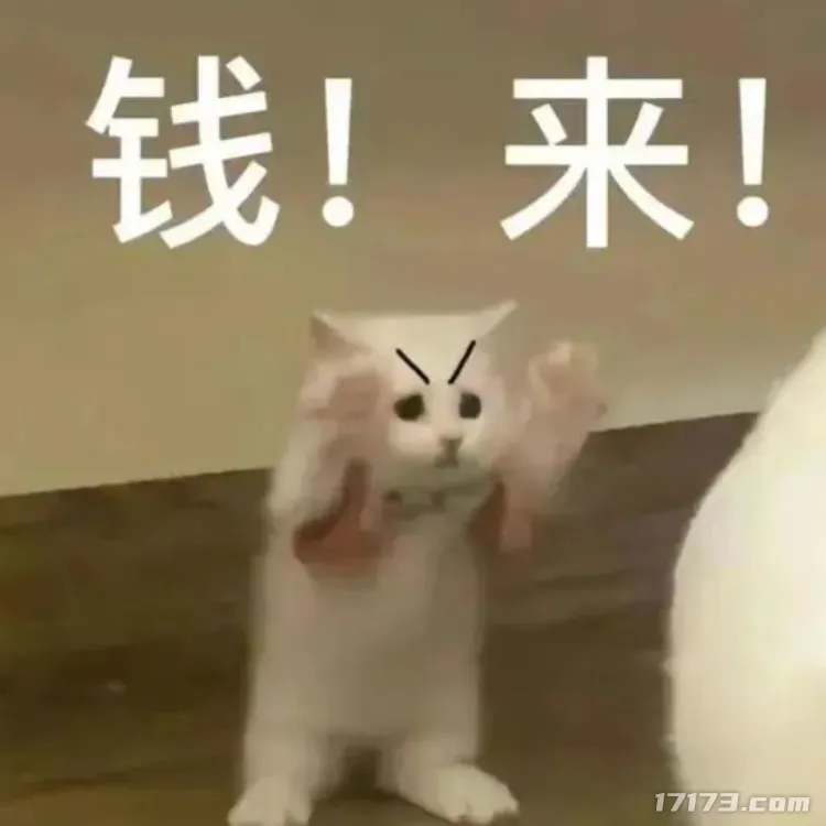 图片8.png