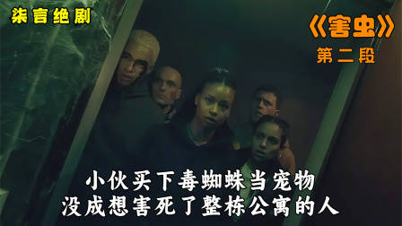 小伙养毒蜘蛛当宠物，却害死了整栋公寓的人！——《害虫》-2