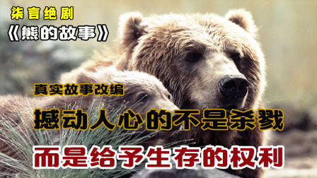 撼动人心的不是杀戮，而是给予生存的权利！——《熊的故事》