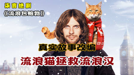 真实故事改编，流浪猫拯救流浪汉！——《流浪猫鲍勃》