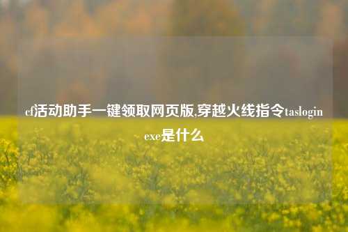 cf活动助手一键领取网页版,穿越火线指令tasloginexe是什么