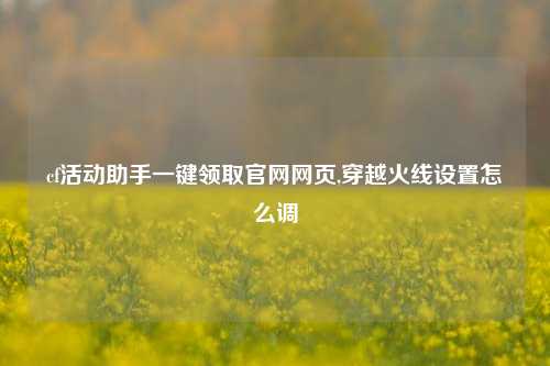 cf活动助手一键领取官网网页,穿越火线设置怎么调