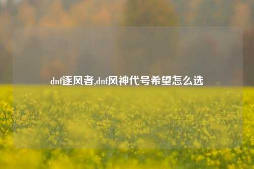 dnf逐风者,dnf风神代号希望怎么选