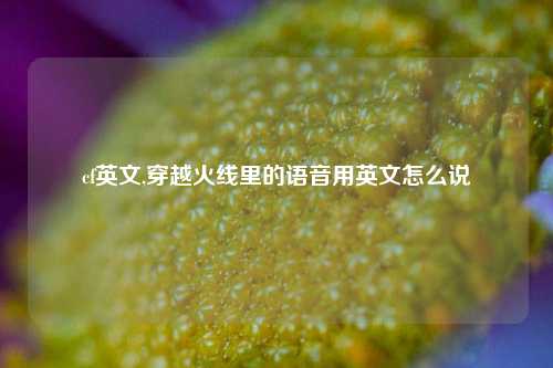 cf英文,穿越火线里的语音用英文怎么说