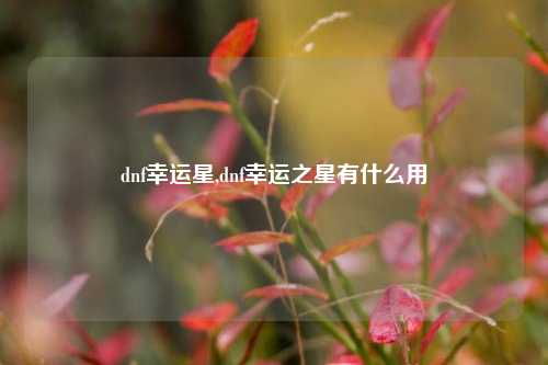 dnf幸运星,dnf幸运之星有什么用