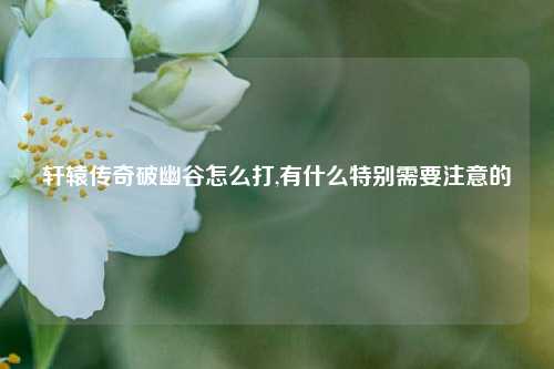 轩辕传奇破幽谷怎么打,有什么特别需要注意的