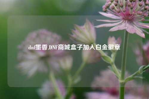 dnf墨香,DNF商城盒子加入白金徽章