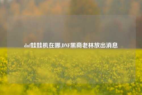 dnf娃娃机在哪,DNF黑商老林放出消息