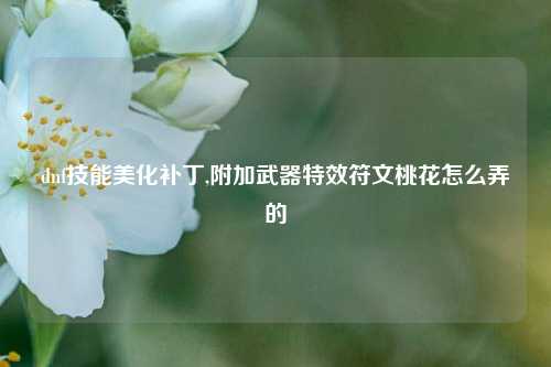 dnf技能美化补丁,附加武器特效符文桃花怎么弄的