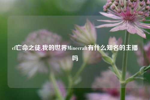 cf亡命之徒,我的世界Minecraft有什么知名的主播吗