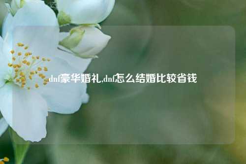 dnf豪华婚礼,dnf怎么结婚比较省钱