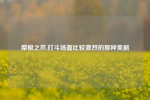 摩根之爪,打斗场面比较激烈的那种美剧