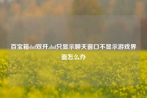 百宝箱dnf双开,dnf只显示聊天窗口不显示游戏界面怎么办