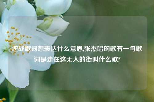 逆战歌词想表达什么意思,张杰唱的歌有一句歌词是走在这无人的街叫什么歌?