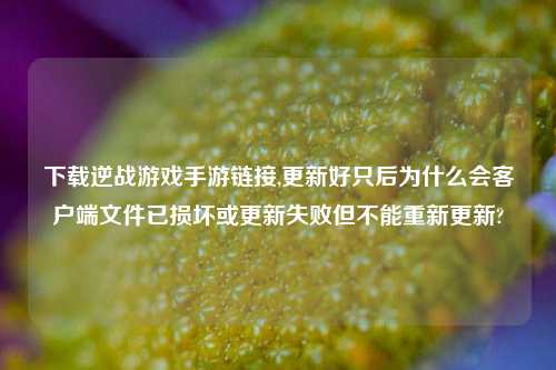 下载逆战游戏手游链接,更新好只后为什么会客户端文件已损坏或更新失败但不能重新更新?