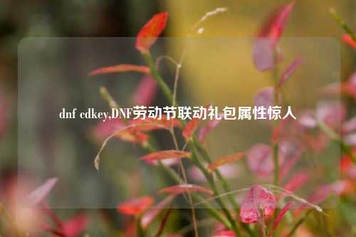 dnf cdkey,DNF劳动节联动礼包属性惊人