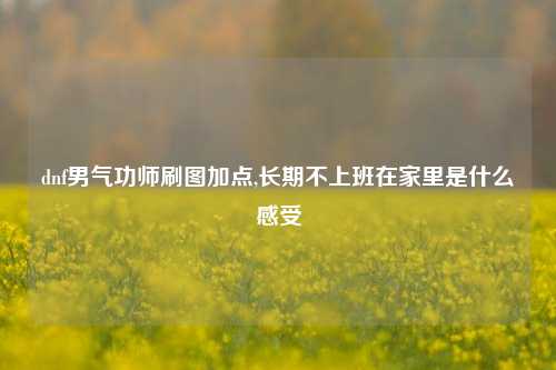 dnf男气功师刷图加点,长期不上班在家里是什么感受