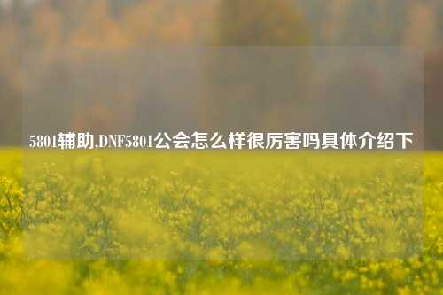 5801辅助,DNF5801公会怎么样很厉害吗具体介绍下