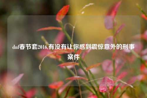 dnf春节套2016,有没有让你感到震惊意外的刑事案件