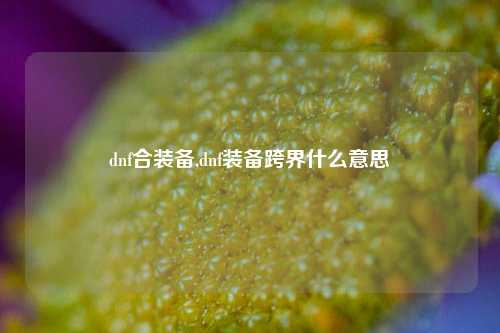 dnf合装备,dnf装备跨界什么意思