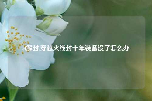 cf解封,穿越火线封十年装备没了怎么办