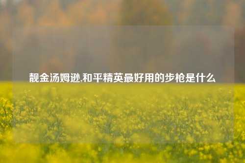 靓金汤姆逊,和平精英最好用的步枪是什么