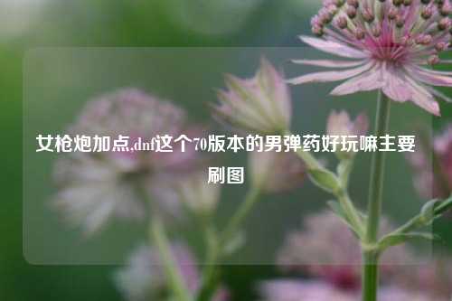 女枪炮加点,dnf这个70版本的男弹药好玩嘛主要刷图