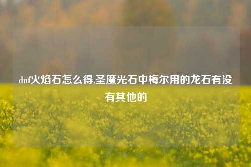 dnf火焰石怎么得,圣魔光石中梅尔用的龙石有没有其他的