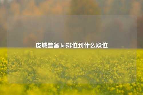 皮城警备,lol排位到什么段位