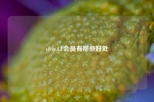 cfvip,CF会员有那些好处