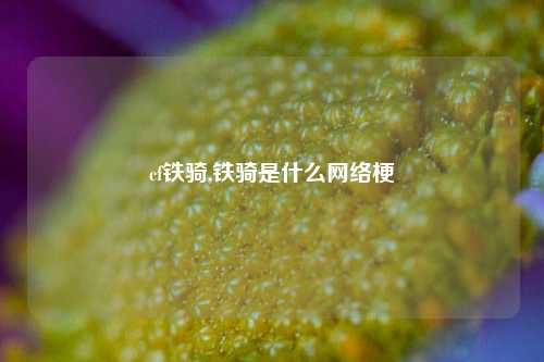 cf铁骑,铁骑是什么网络梗