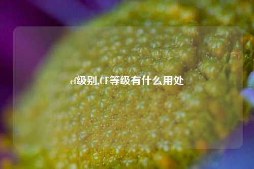 cf级别,CF等级有什么用处