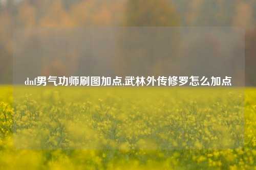 dnf男气功师刷图加点,武林外传修罗怎么加点