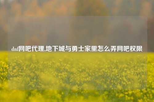 dnf网吧代理,地下城与勇士家里怎么弄网吧权限