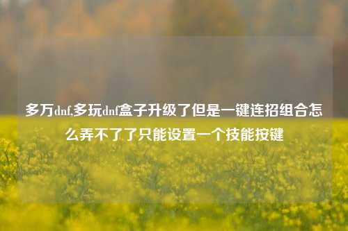 多万dnf,多玩dnf盒子升级了但是一键连招组合怎么弄不了了只能设置一个技能按键