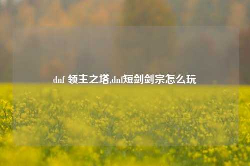 dnf 领主之塔,dnf短剑剑宗怎么玩