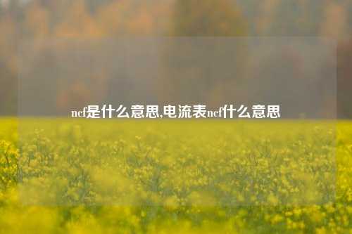 ncf是什么意思,电流表ncf什么意思