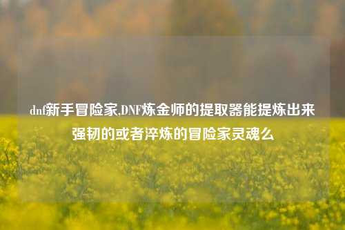 dnf新手冒险家,DNF炼金师的提取器能提炼出来强韧的或者淬炼的冒险家灵魂么