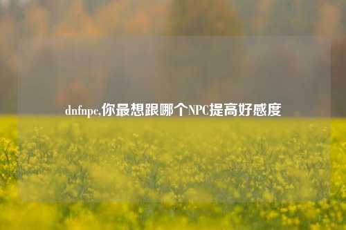 dnfnpc,你最想跟哪个NPC提高好感度