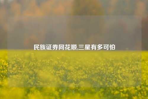 民族证券同花顺,三星有多可怕