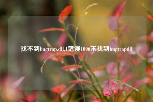 找不到bugtrap.dll,1错误1006未找到bugtrapdll