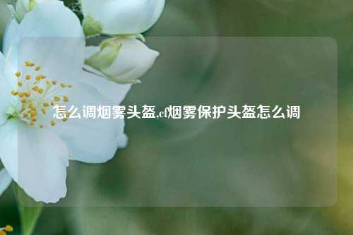 怎么调烟雾头盔,cf烟雾保护头盔怎么调