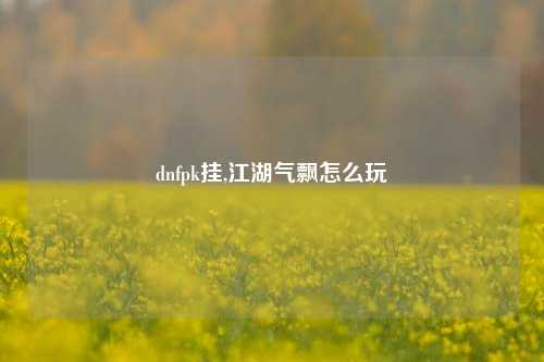 dnfpk挂,江湖气飘怎么玩