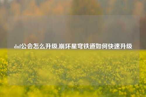 dnf公会怎么升级,崩坏星穹铁道如何快速升级